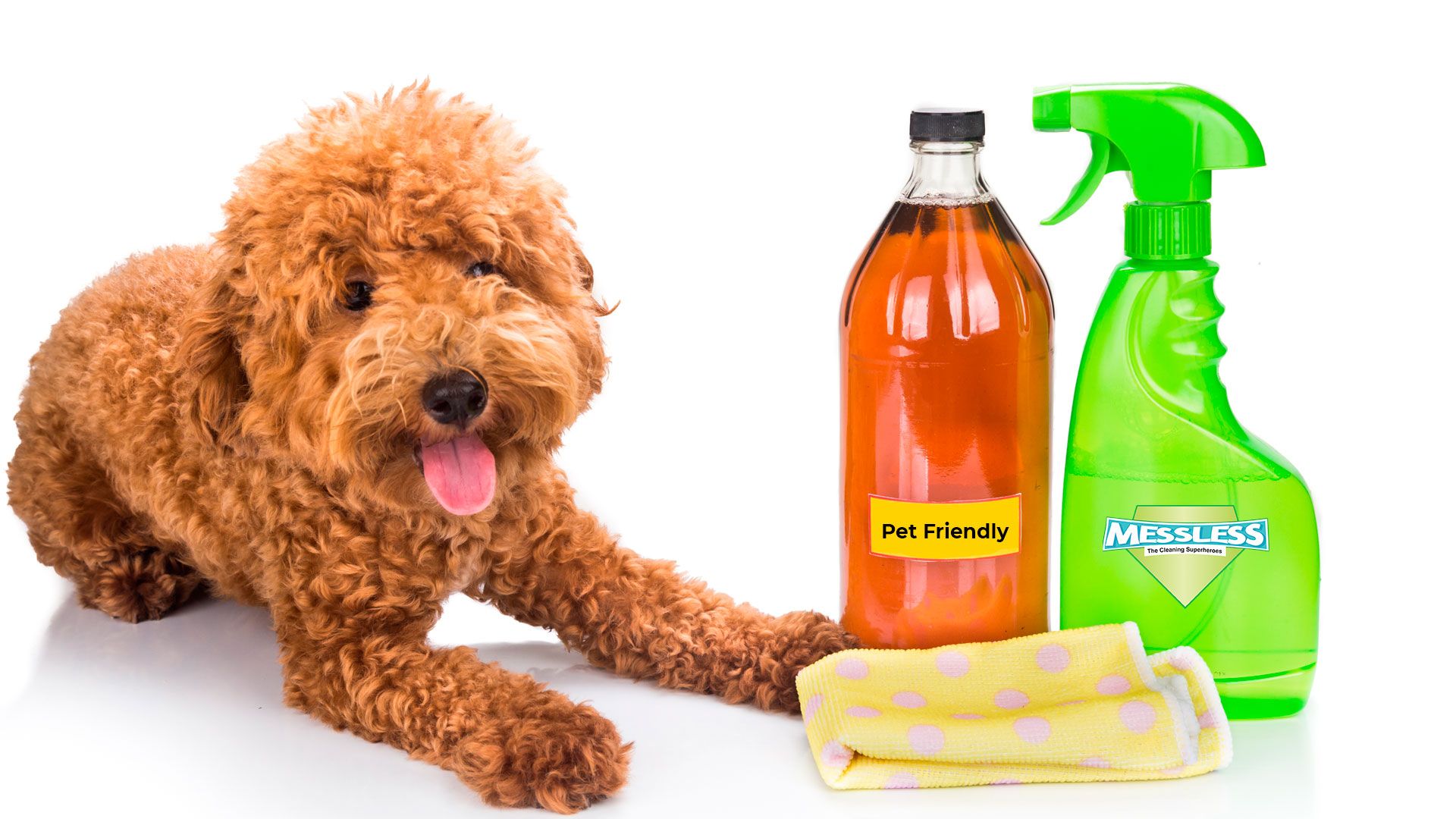 OUR SUPPLIES AND TOOLS