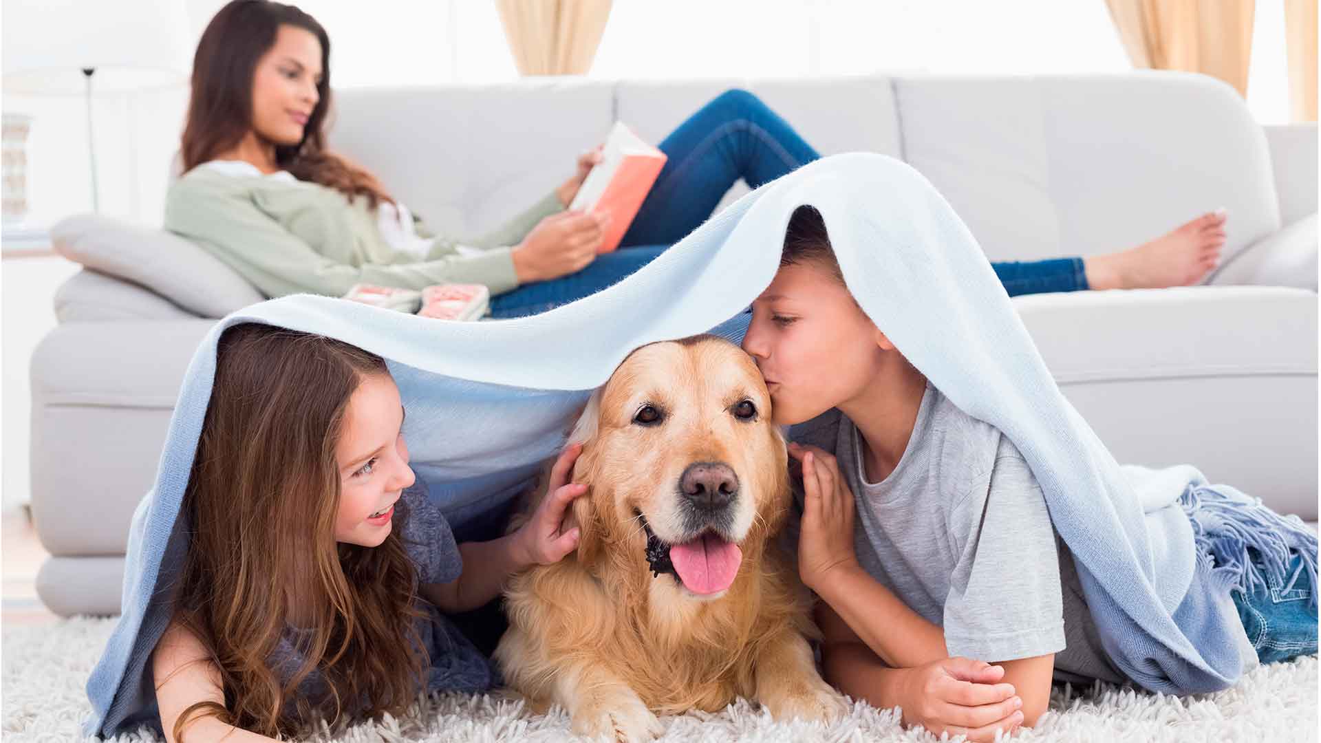 Residential Cleaning - MessLess